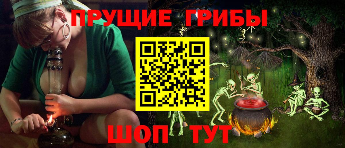 Галлюциногенные грибы MAGIC MUSHROOMS Черняховск